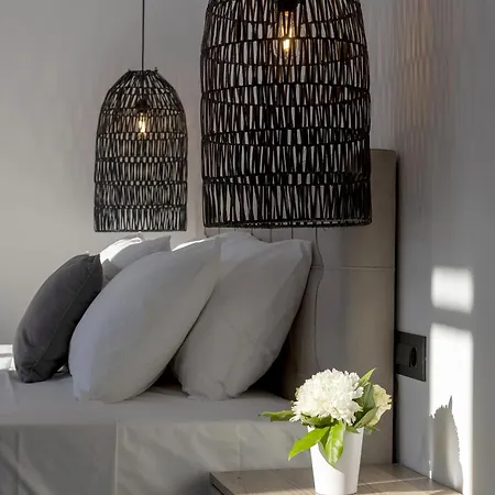 Apartman Alexandros Suites, Mykonos Town, With Shared Rooftop Terrace